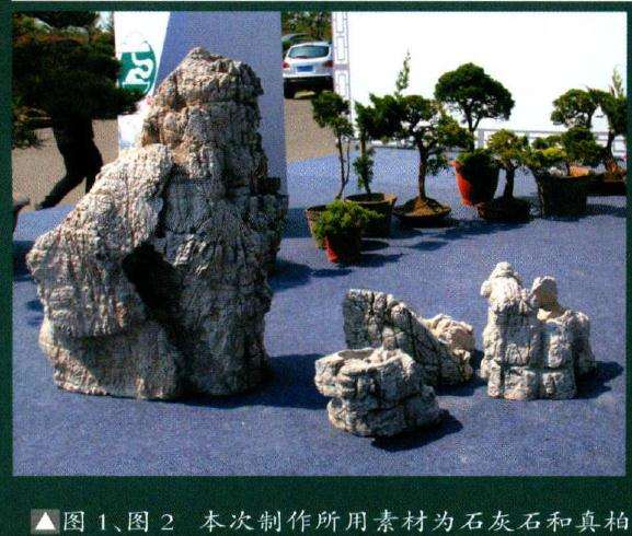 本次制作所用素材为石灰石和真柏主石高耸