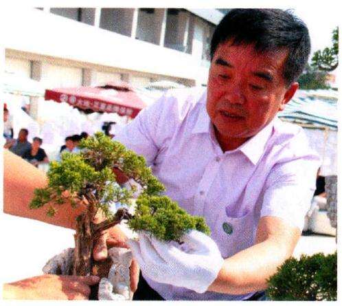 中国盆景艺术大师李云龙首创的山水盆景方法