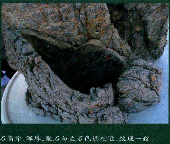 本次制作所用素材为石灰石和真柏主石高耸