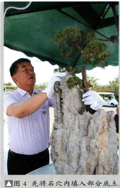 先将石穴内填入部分底土