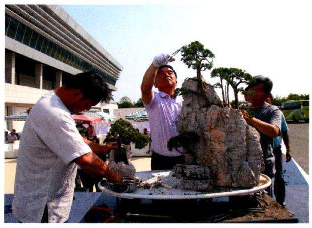 对栽好的树进行修剪并做细微调整