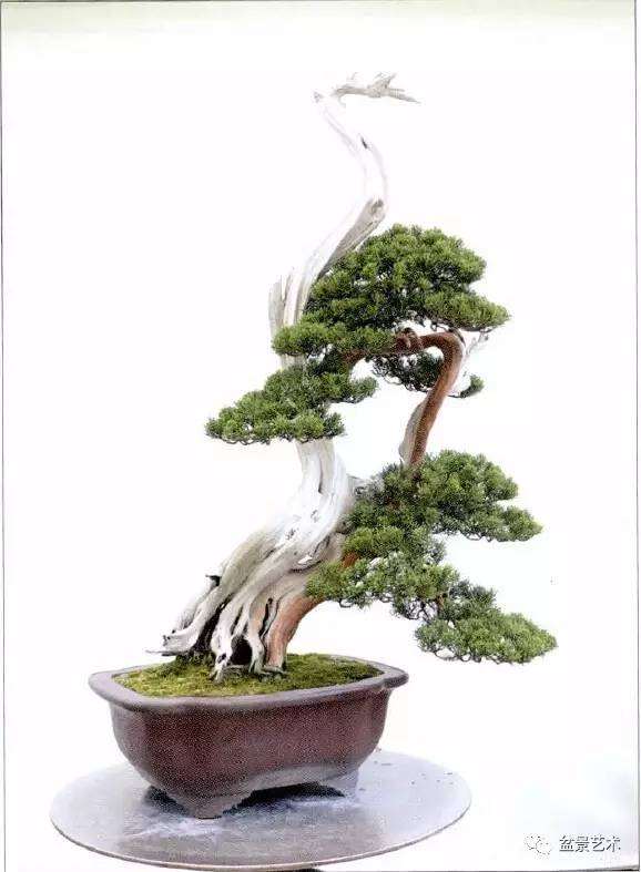 整姿完成后正面图