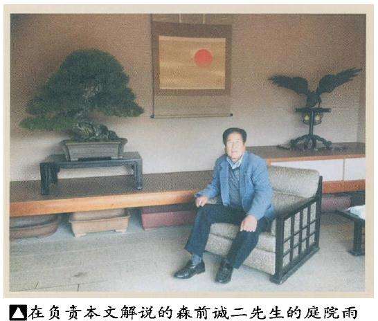 在木村先生年轻时制作的杰作名树黑松前