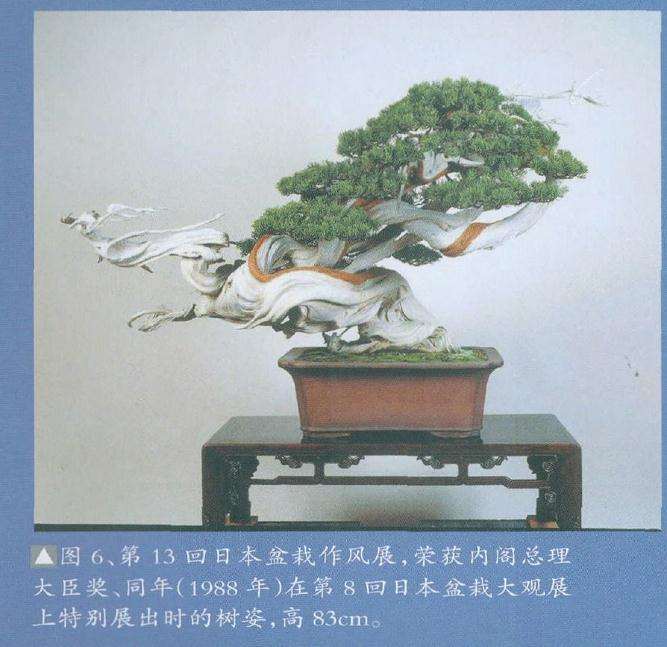 日本盆栽作风展