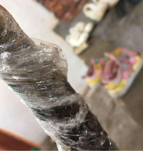 老鸦柿下山桩发芽了 用保鲜膜包住的