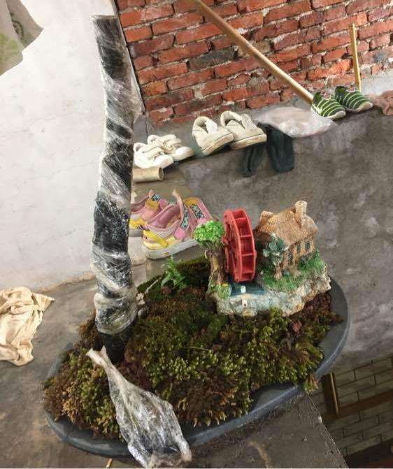 老鸦柿下山桩发芽了 用保鲜膜包住的