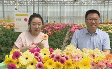 2020年 新冠疫情推高花卉直播热潮