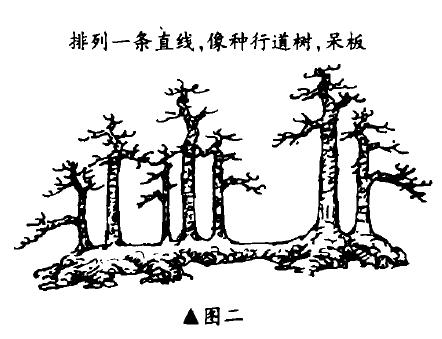 一本多干丛林盆景怎么布局造型的方法