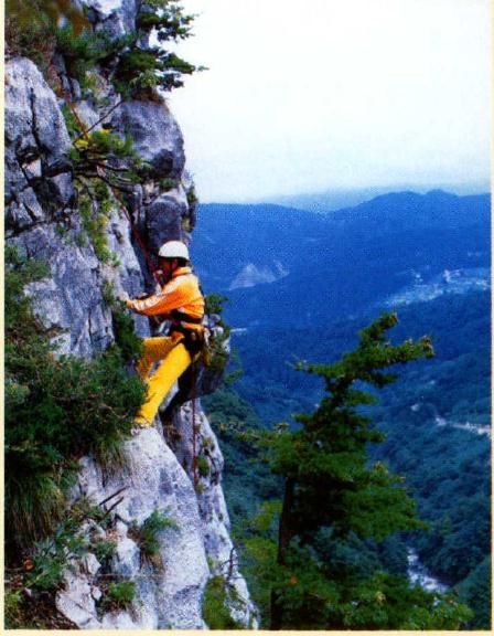 图解 真柏盆景怎么造型的实例