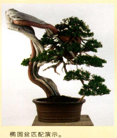 椭圆盆匹配演示