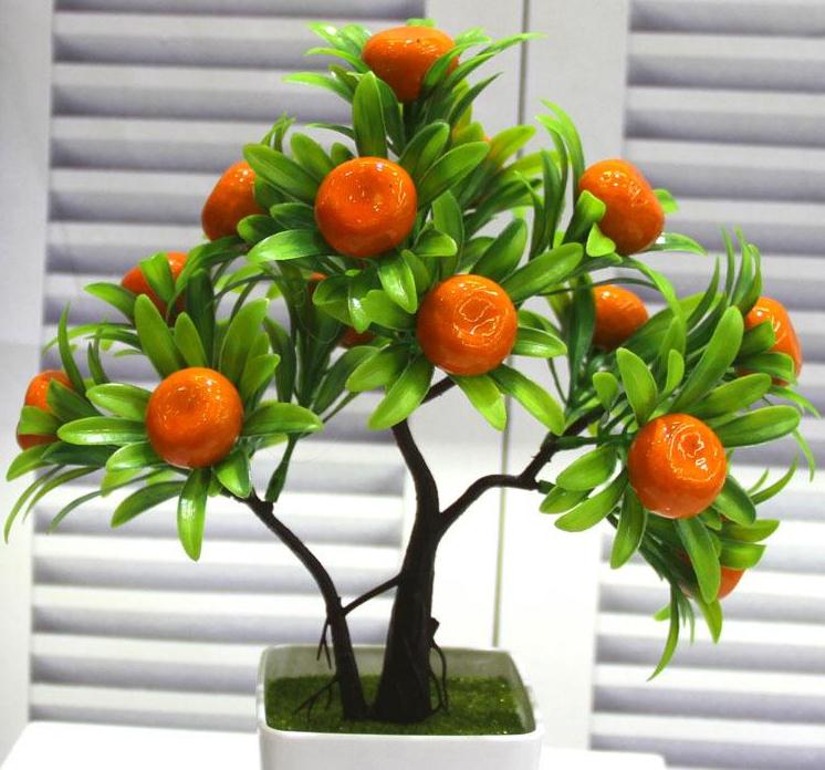 金桔盆景怎么小苗培育和上盆定植的方法