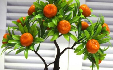 金桔盆景怎么小苗培育和上盆定植的方法