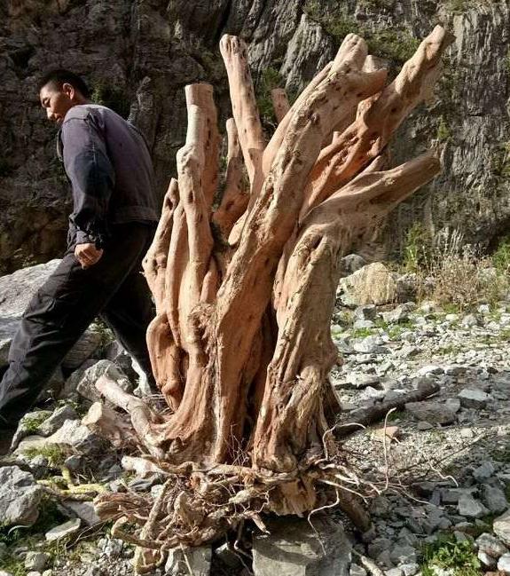 为什么玩大型下山桩 要贪图大