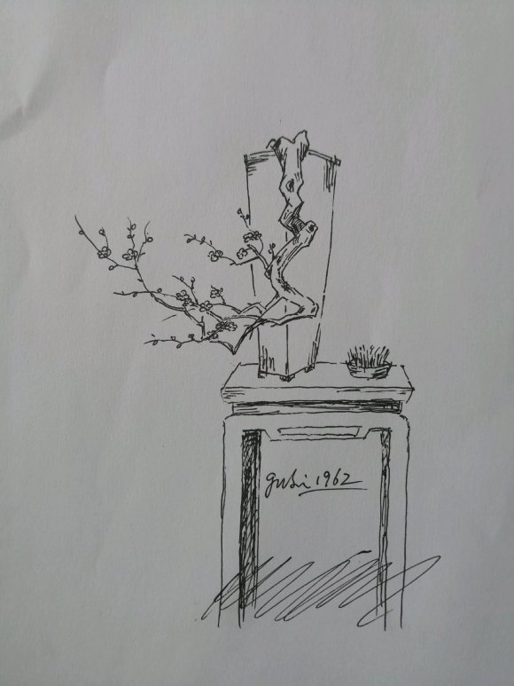 梅花下山桩发芽没到位 明年継续