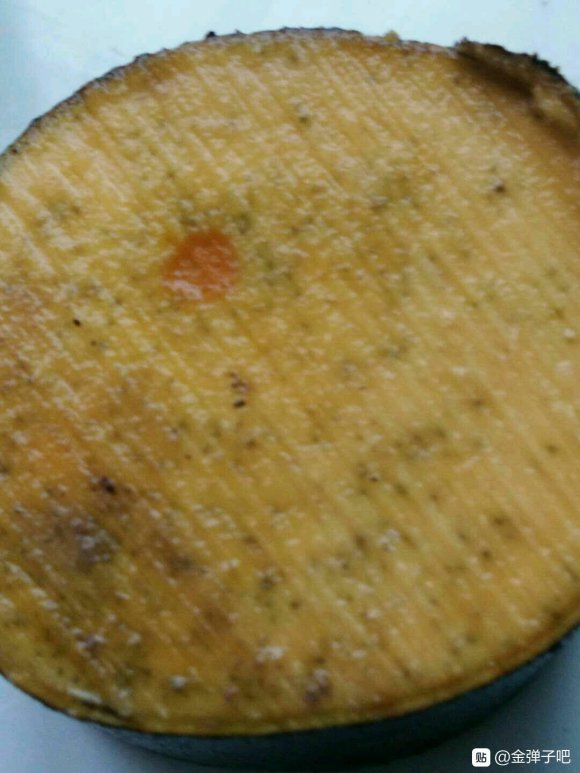 金弹子下山桩里面发黑 还会发芽吗