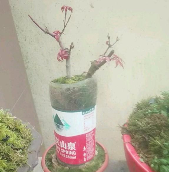 金弹子下山桩如何实现根部弯曲