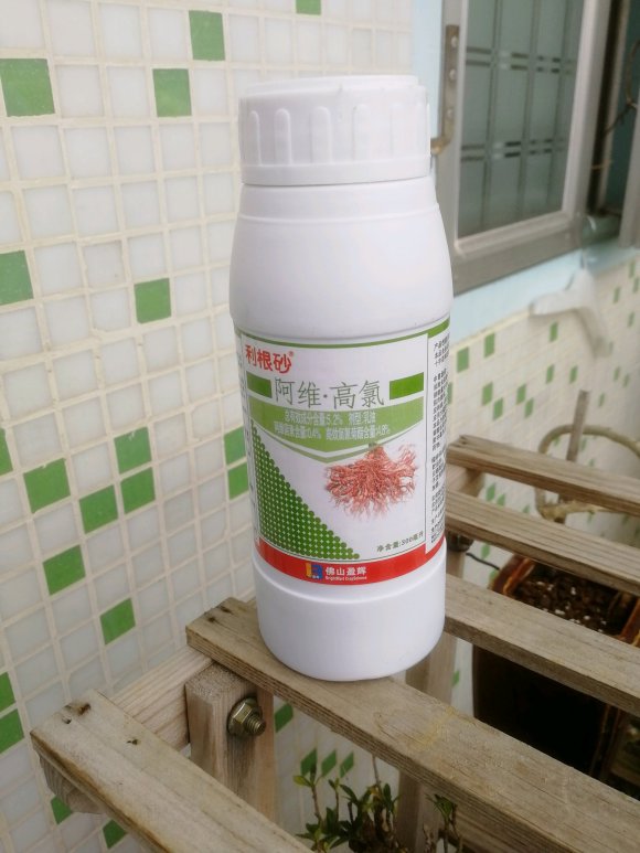 为什么栀子花下山桩太容易长线虫