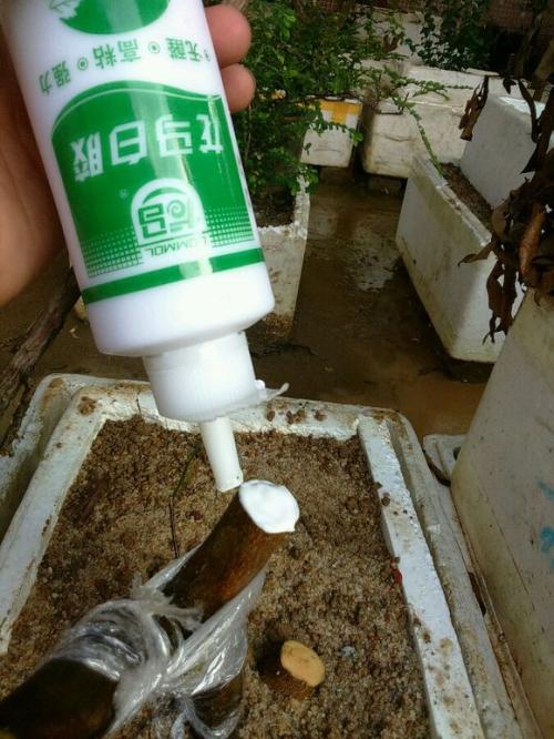 下山桩怎么封上白乳胶后 再贴上黑薄膜