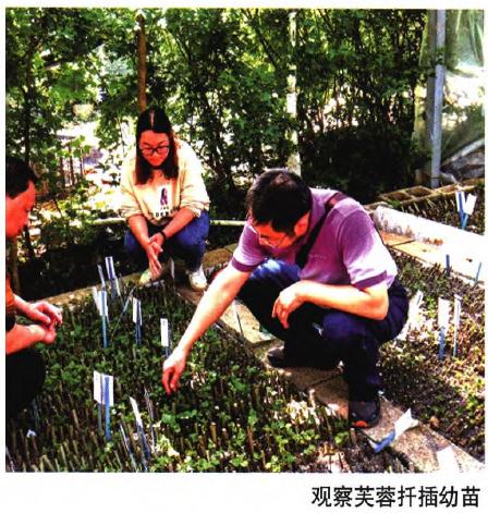 成都市植物园国家芙蓉种质资源库