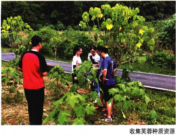 成都市植物园国家芙蓉种质资源库