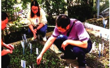 成都市植物园国家芙蓉种质资源库