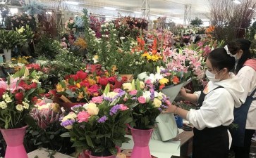 2020年 成都鲜切花市场进入最淡季