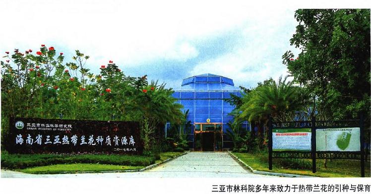 海南三亚国家热带兰花种质资源库