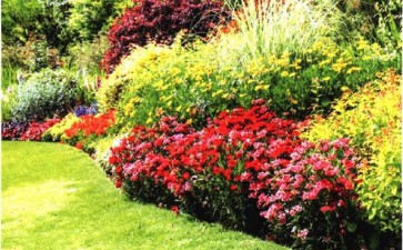 第七届中国花境论坛在江苏大丰举办