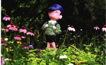 第四届中国花境大赛结果出炉