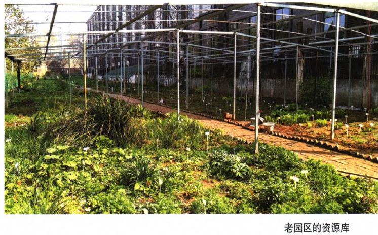 西安植物园秦岭宿根花卉种质资源库