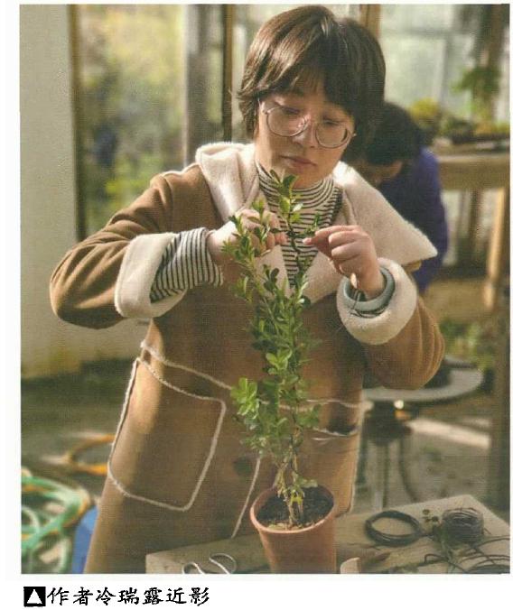 为什么说盆景具有残缺美 图片