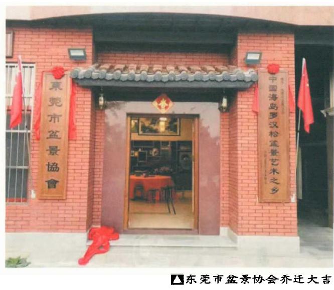 东莞市盆景协会乔迁新址