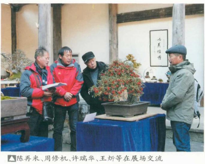 2021年 台州举办第十届盆景展