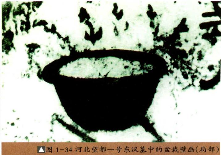 我国盆景艺术起源于东汉时期