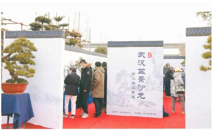 武汉沙龙举办第2届盆景展