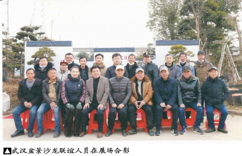 武汉沙龙举办第2届盆景展
