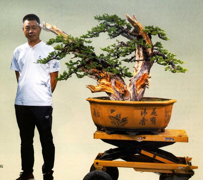 图解 双干真柏盆景怎么创作的方法