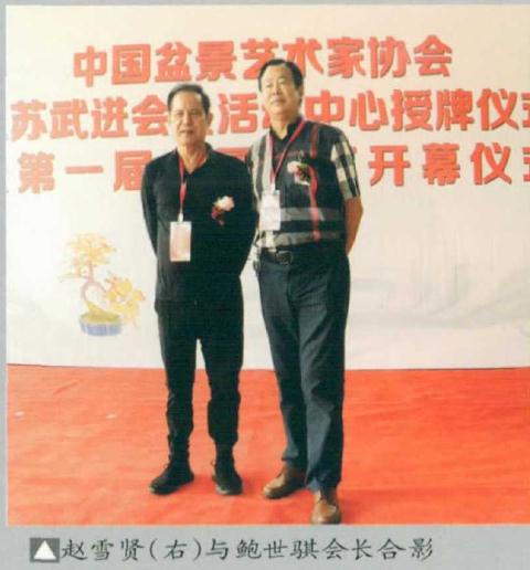 赵雪贤盆景欣赏 图片