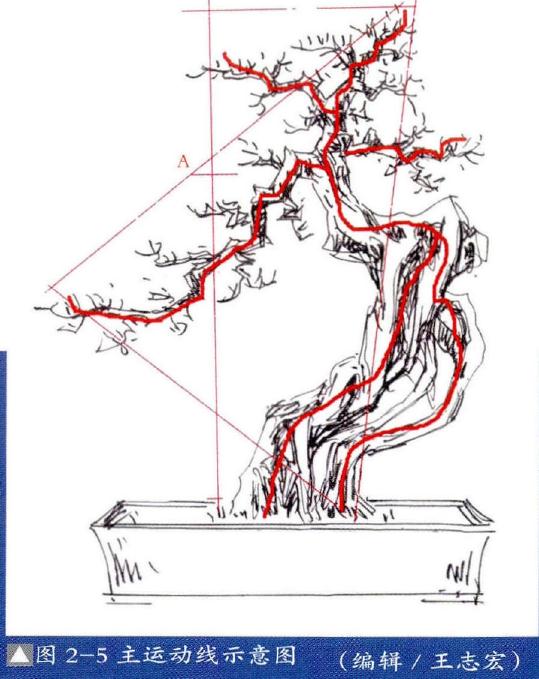 图解 提根式盆景怎么制作的方法