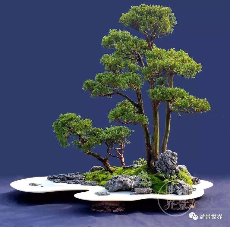 图解 景石的布点是水旱盆景制作的方法