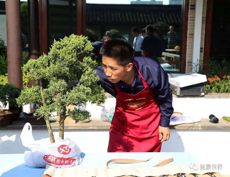 图解 景石的布点是水旱盆景制作的方法