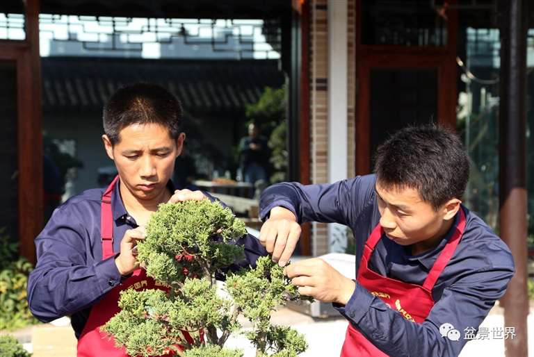 图解 景石的布点是水旱盆景制作的方法