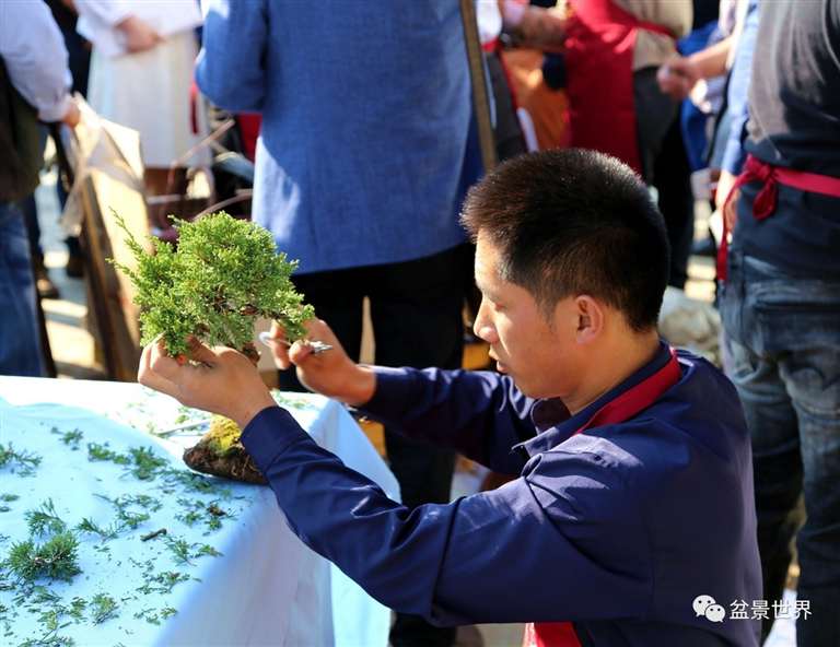 图解 景石的布点是水旱盆景制作的方法