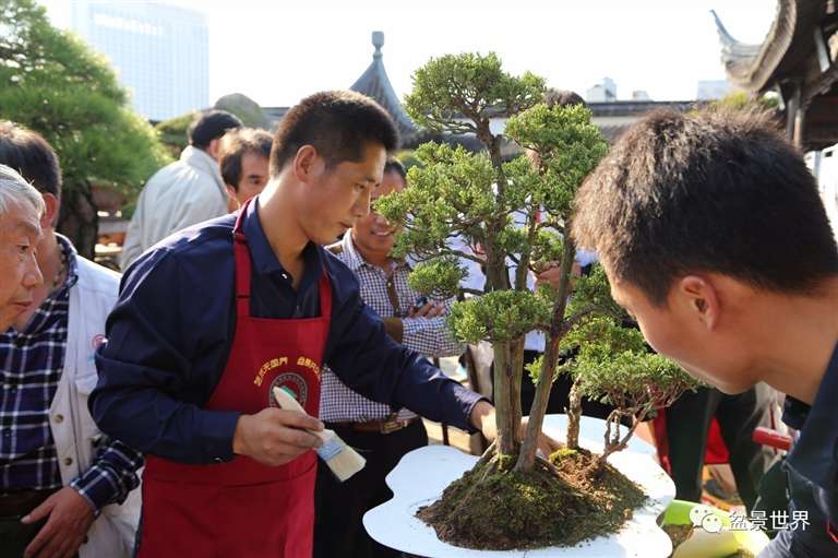 图解 景石的布点是水旱盆景制作的方法