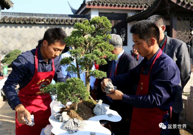 图解 景石的布点是水旱盆景制作的方法