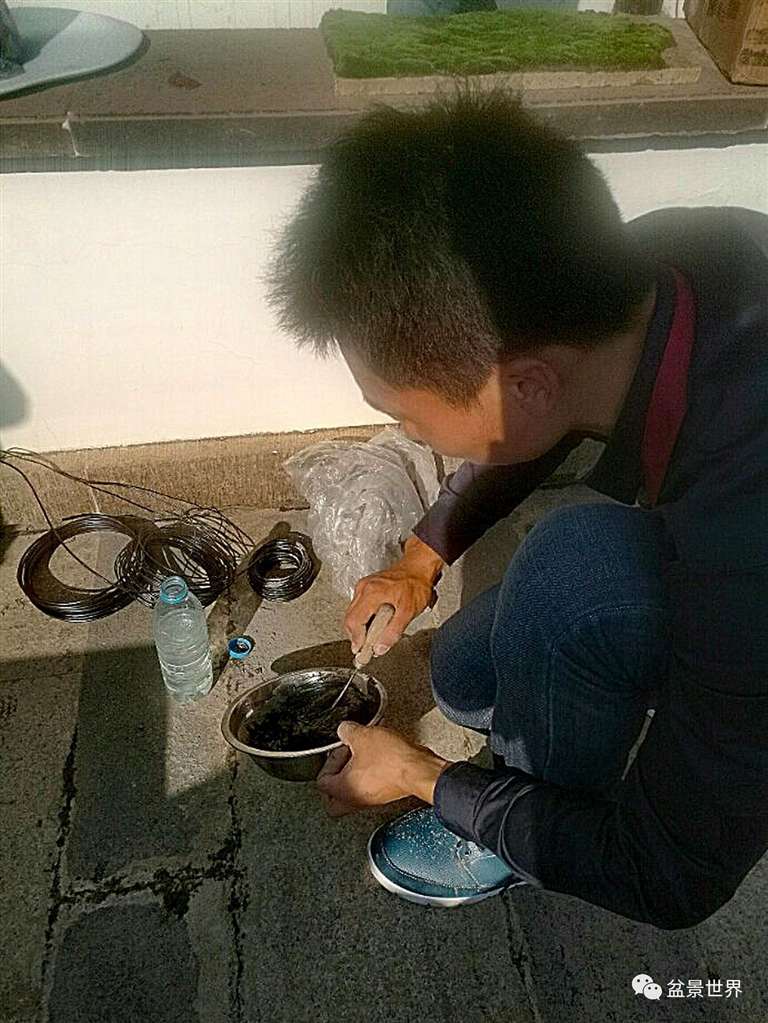 图解 景石的布点是水旱盆景制作的方法