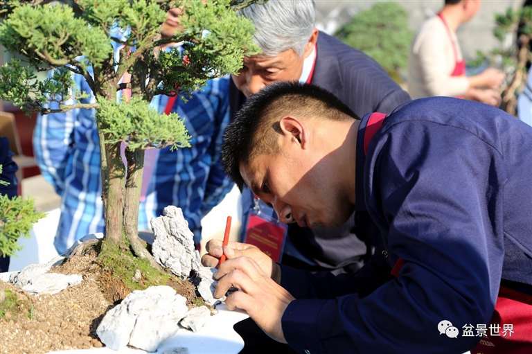 图解 景石的布点是水旱盆景制作的方法