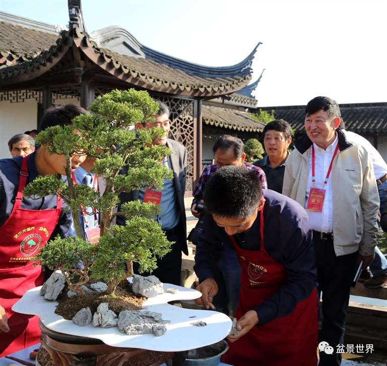 图解 景石的布点是水旱盆景制作的方法