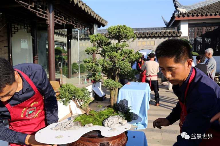 图解 景石的布点是水旱盆景制作的方法