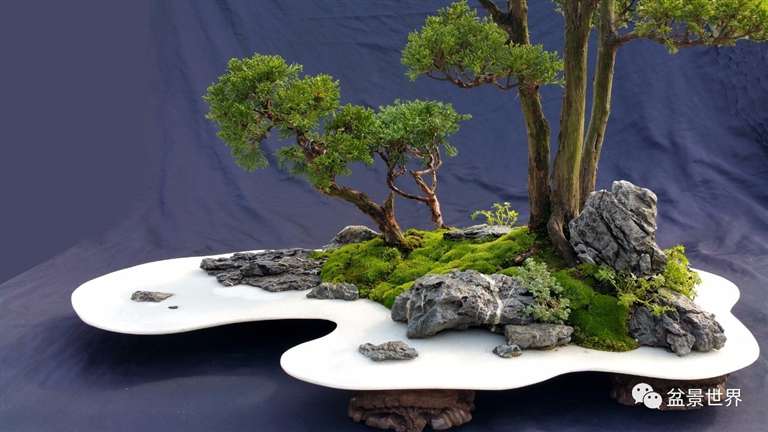 图解 景石的布点是水旱盆景制作的方法